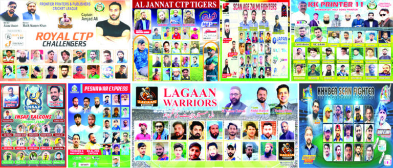 8 Team Cricket