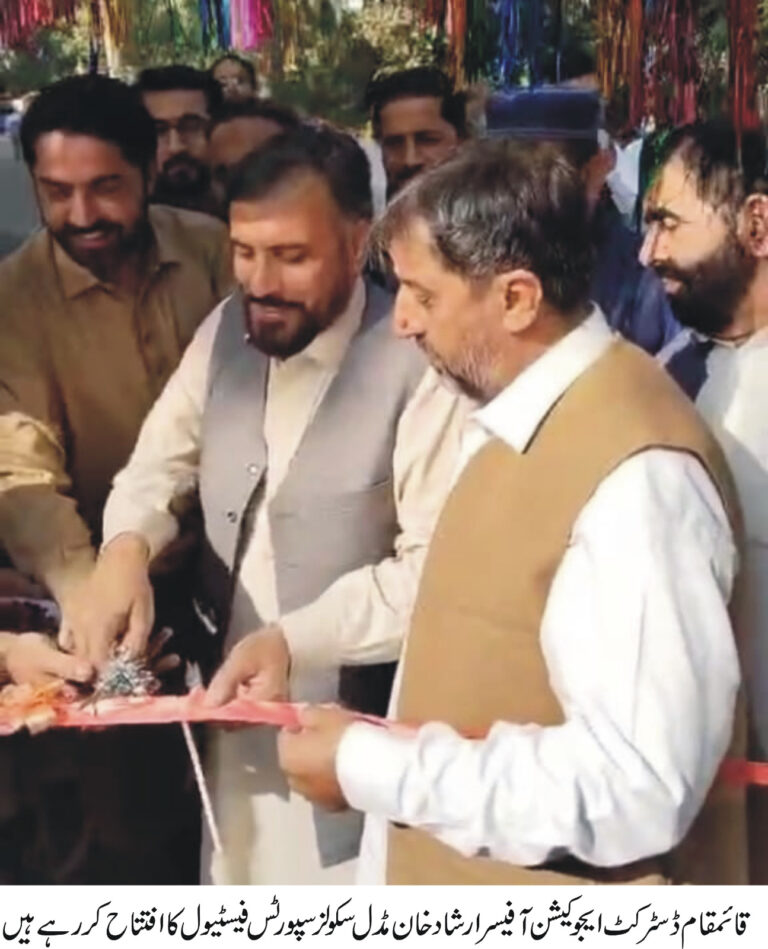 School Festival Cricket